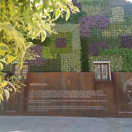 Acogedor Y Moderno Estudio En Capuchinos Malaga Exterior photo